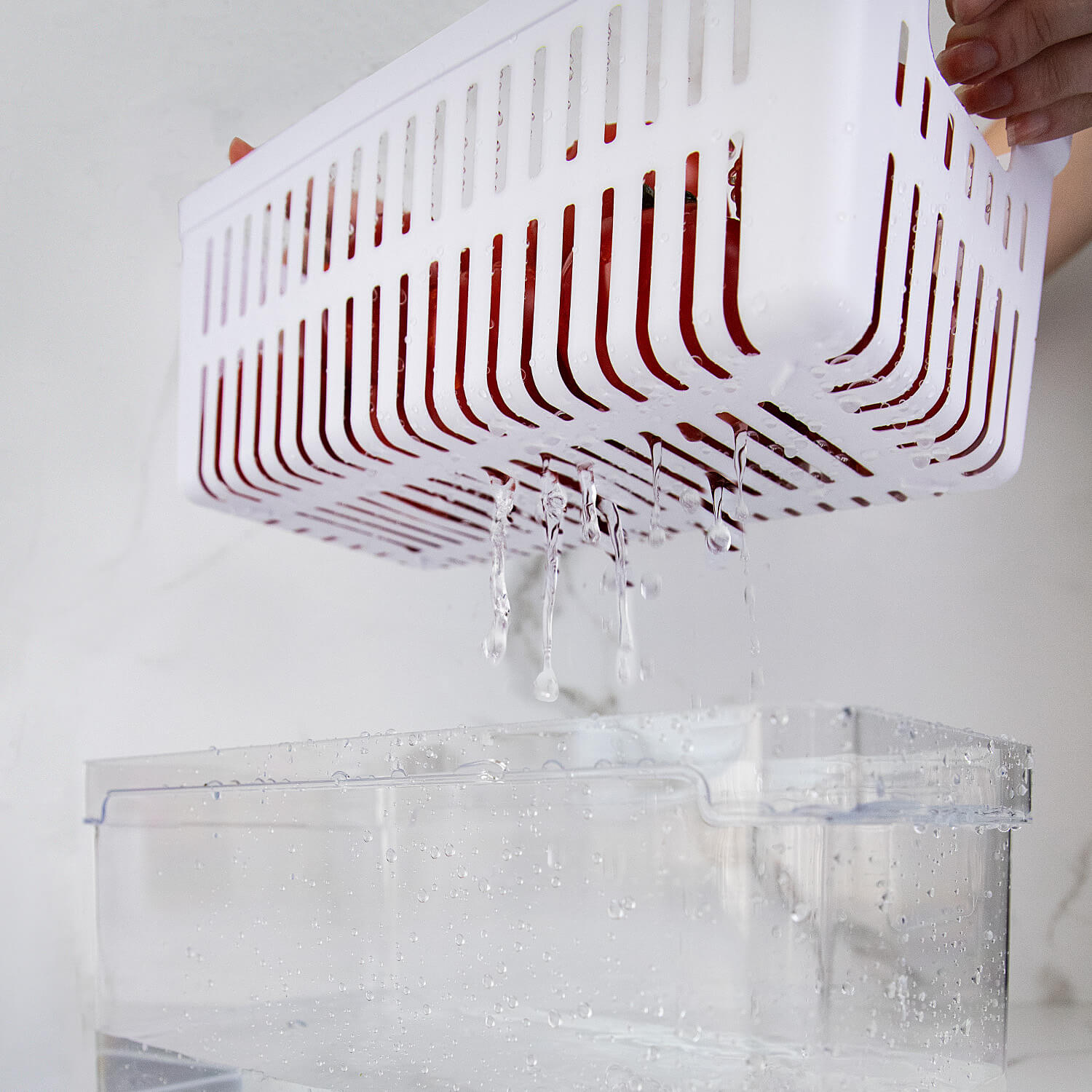 Refrigerator Organizer with Basket Orna Unique 5L Clear Fresh Line